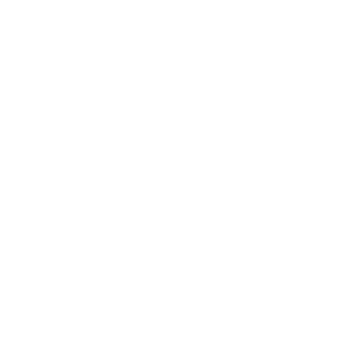 WNP – What's Next Partners